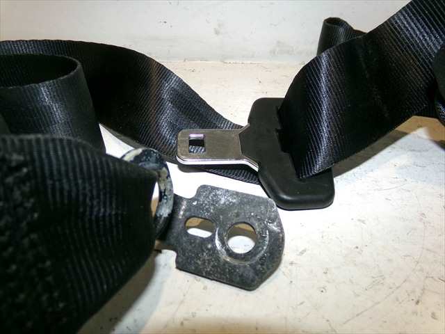 Foto 3ª: Cinturón Trasero Derecho Ford Focus 1.6 TDCI 2011-2014 [T3DB] (2011)