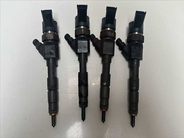 Inyectores Renault Scenic 1.9 DCI