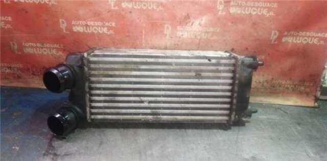 Foto 2ª: Intercooler Citroen C4  [BHY]