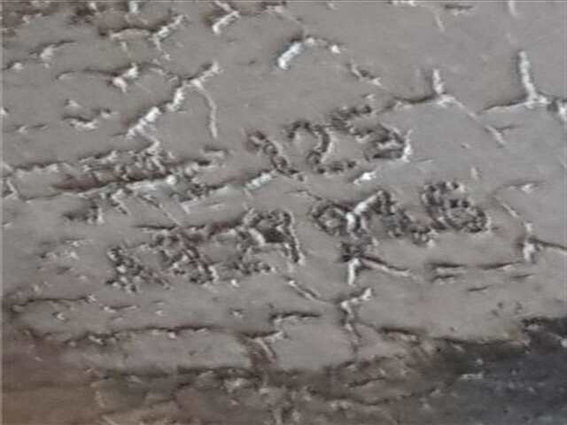 Foto 3ª: Caja Cambios Renault Scenic 1.6 AUTHENTIQUE [1.6 LTR. - 82 KW 16V] (JM)(2003-_)