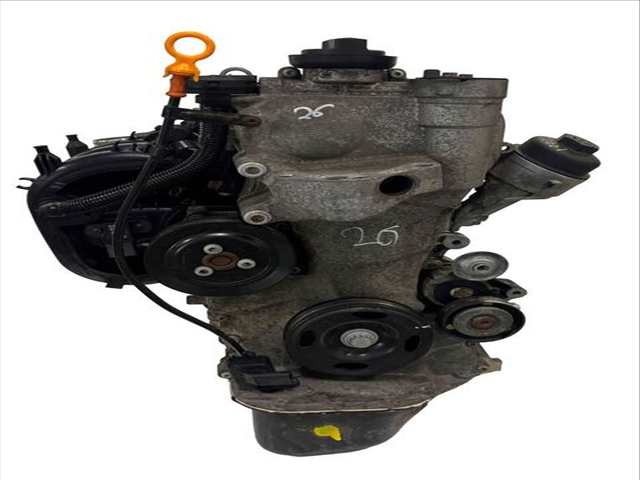 Motor Completo Skoda Roomster 70 CV 51KW