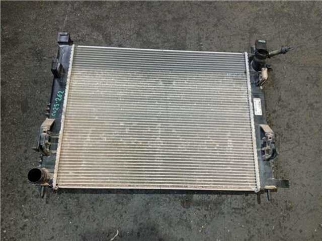 Radiador Motor Renault Captur 0.9 DYNAMIQUE [0.9 LTR. - 66 KW TCE ENERGY]