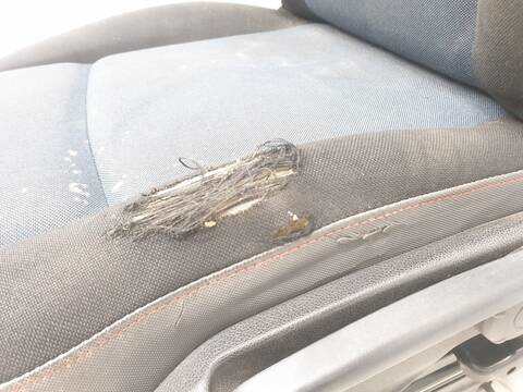 Foto 3ª: Asiento Delantero Izquierdo Renault Master L2H2 HKA 33T (2011)