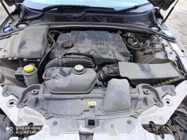 Foto 3ª: Cinturón Delantero Derecho Jaguar XF 3.0 V6 DIESEL [306DT]