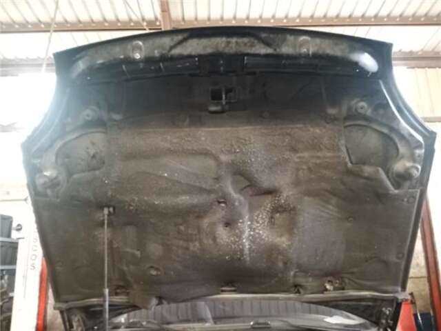 Foto 3ª: Capot Citroen Xsara 2.0 HDI 90 [RHY (DW10TD)]