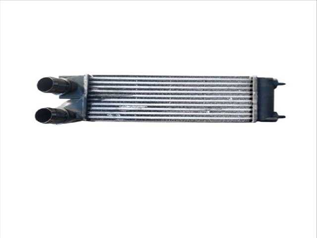 Foto 1ª: Intercooler Peugeot 3008 1.6 HDI (2009)