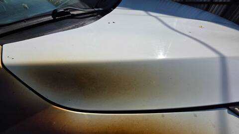 Foto 2ª: Capot Hyundai ix35 STYLE 2WD 116CV 85KW (2011)