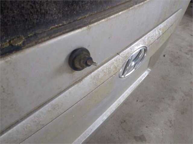 Foto 2ª: Portón Hyundai Terracan 2.9 CRDI 4WD [J3]