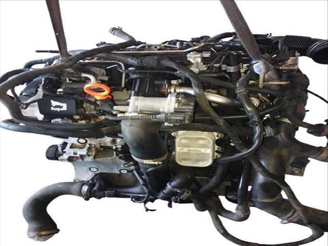 Motor Completo Skoda Octavia 1.6 TDI