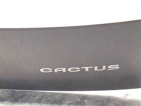 Foto 4ª: Portón Citroen C4 1.2 THP 110 110CV 81KW [HNZ] (2016)