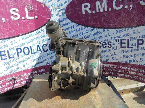 Foto 1ª: Bloque Motor Skoda Fabia ACTIVE 60CV 44KW [CGP] (2012)