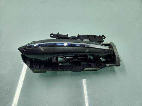 Maneta Exterior Trasera Izquierda Bmw Serie 5 518 520D XDRIVE 190CV 140KW