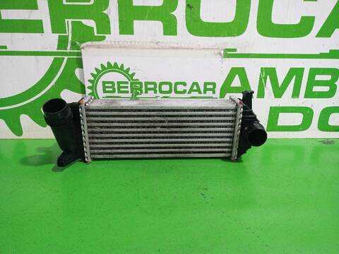 Intercooler Renault Kangoo PROFESIONAL 75CV