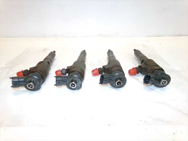 Foto 3ª: Inyectores Citroen C3 1.4 HDI 2002-2010 [8HZ] (2009)
