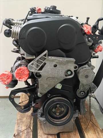 Foto 3ª: Motor Completo Skoda Octavia 2.0 TDI 140CV [BKD] (2007)