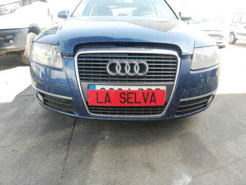 Paragolpes Delantero Audi A6 BDW BERLINA