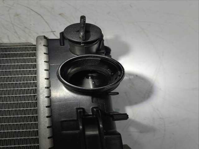 Foto 3ª: Radiador Motor Nissan Juke HR10 117 CV 86KW [HR10DDT] (2021)