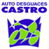 Logo AUTODESGUACES CASTRO