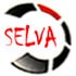 Logo DESBALLESTAMENTS LA SELVA