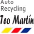 Logo AUTO-RECYCLING TEO MARTÍN