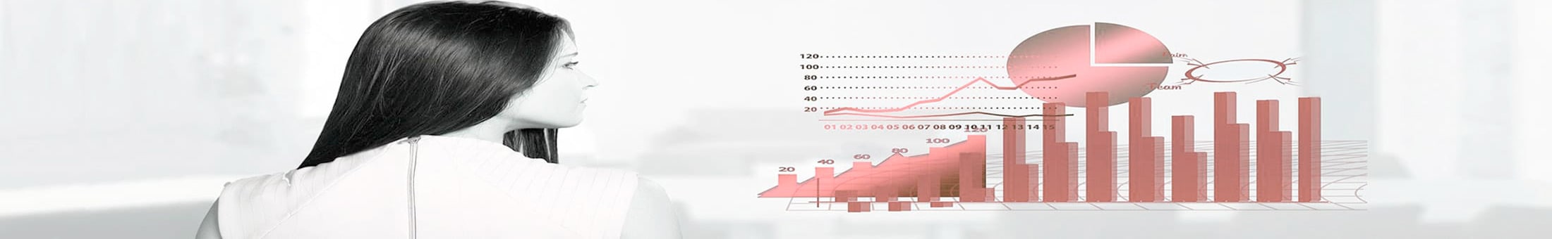 Estadistica de busqueda de recambios en plataforma Europiezas